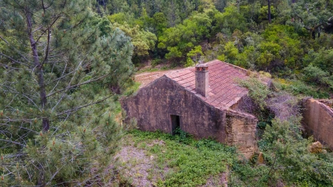 Terreno Misto para Venda em Marmelete