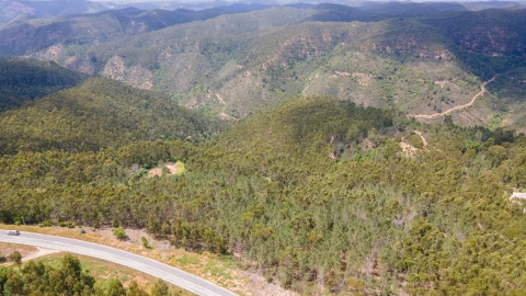 Terreno Misto para Venda em Marmelete