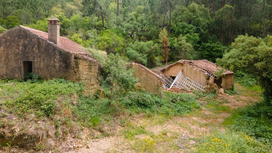 Terreno Misto para Venda em Marmelete Foto 10
