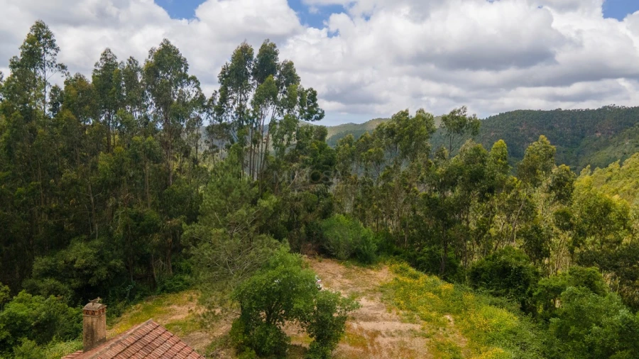Terreno Misto para Venda em Marmelete Foto 13