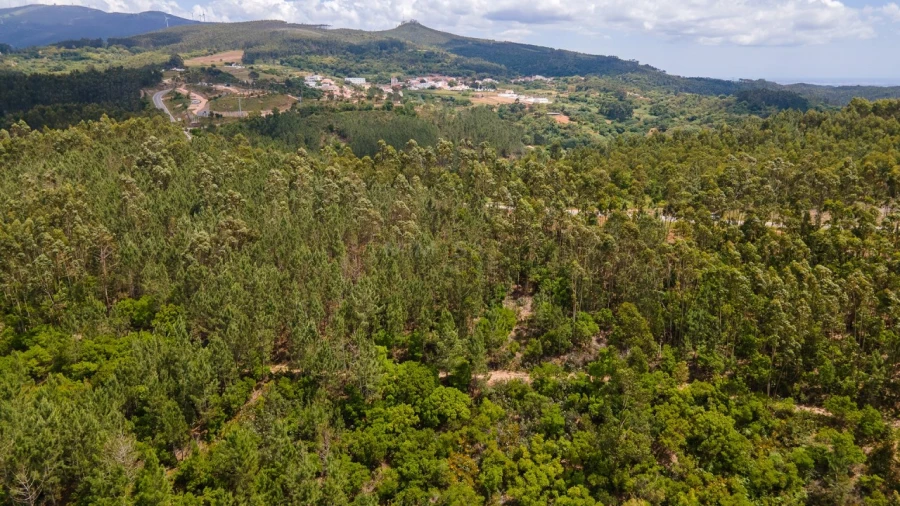 Terreno Misto para Venda em Marmelete Foto 15