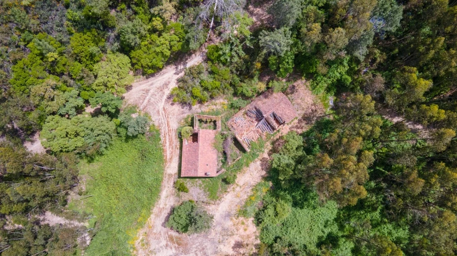 Terreno Misto para Venda em Marmelete Foto 22