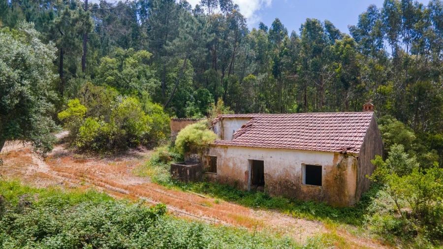 Terreno Misto para Venda em Marmelete