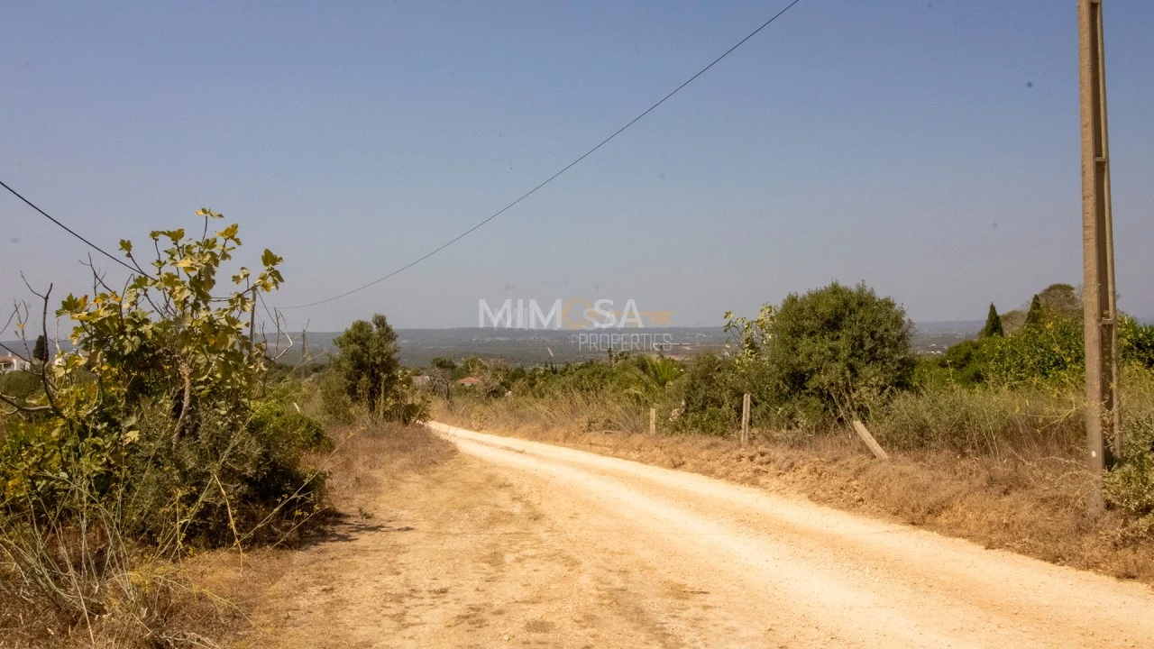 Terreno para Venda em Luz Foto 12
