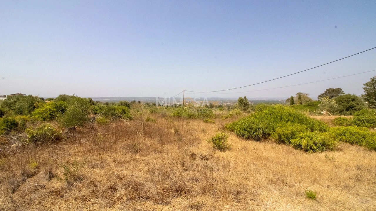Terreno para Venda em Luz Foto 15