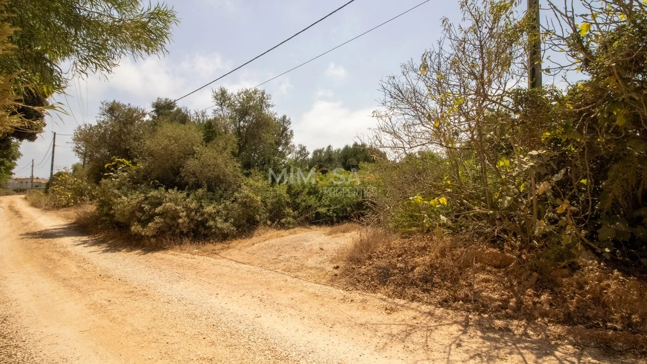 Terreno para Venda em Luz Foto 17