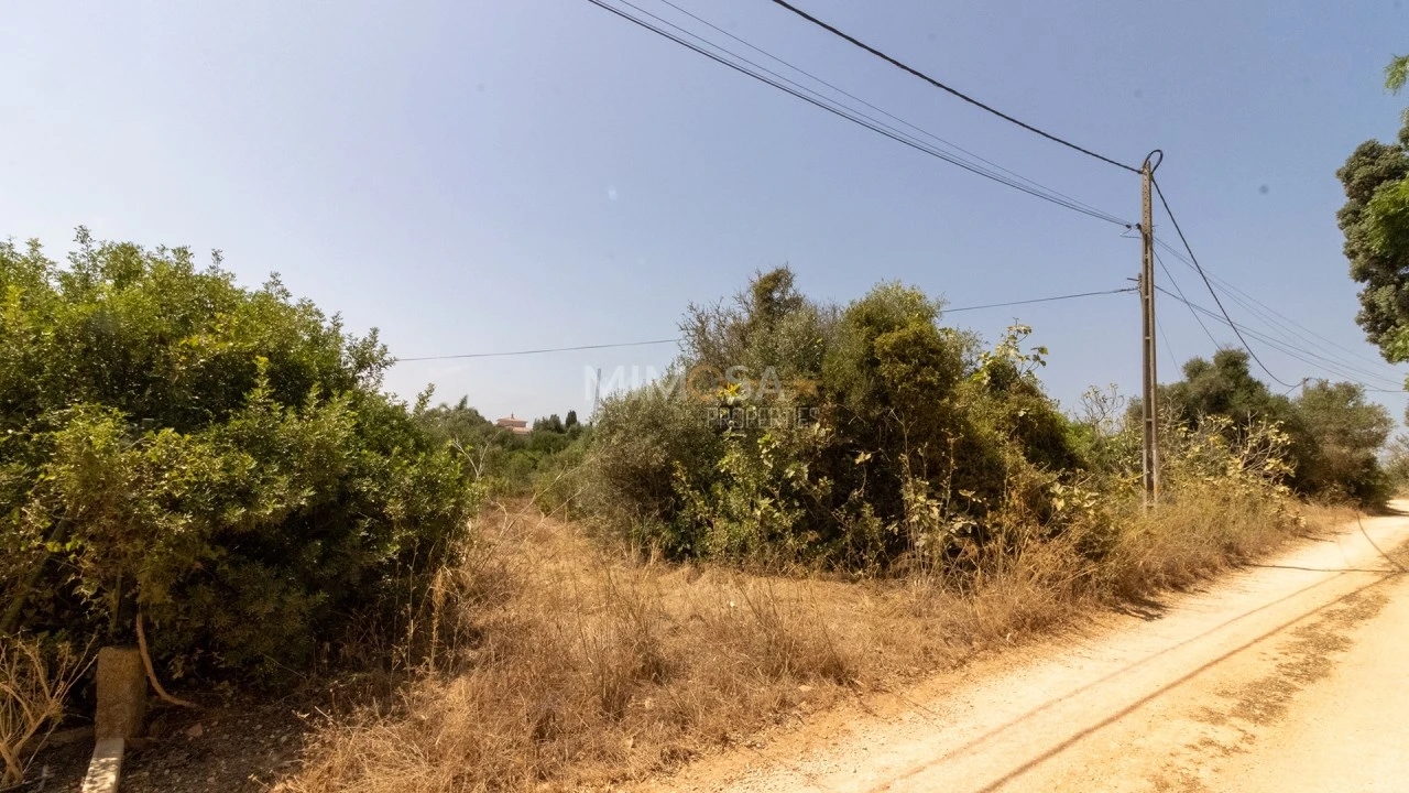 Terreno para Venda em Luz Foto 18
