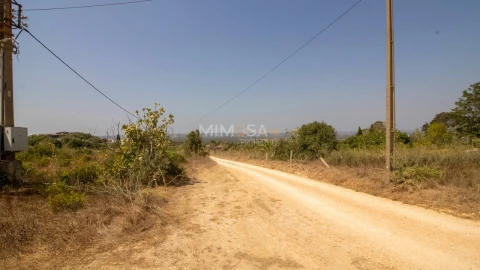 Terreno para Venda em Luz