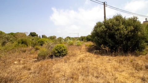 Terreno para Venda em Luz