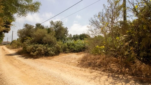 Terreno para Venda em Luz
