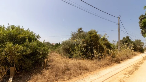 Terreno para Venda em Luz