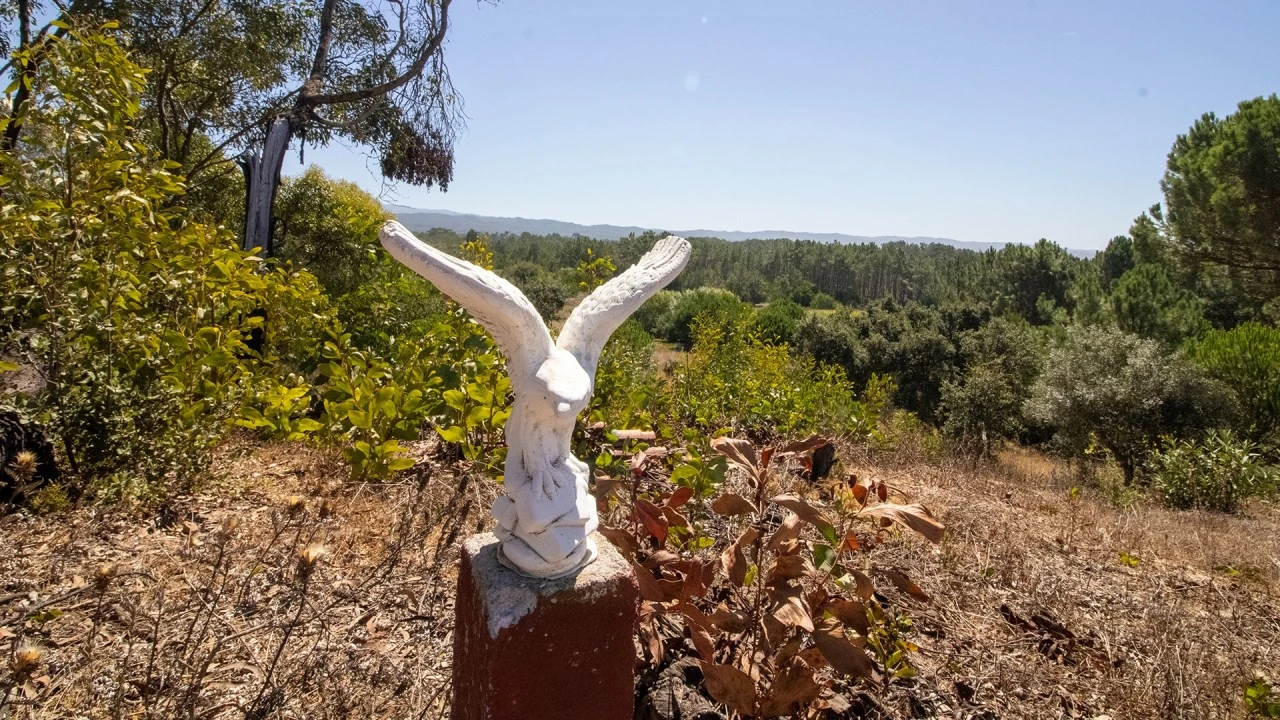 Terreno Agricola ou Rústico para Venda em Rogil Foto 3
