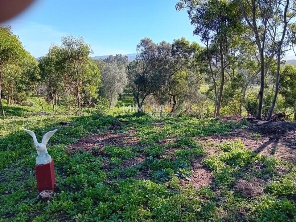 Terreno Agricola ou Rústico para Venda em Rogil Foto 7