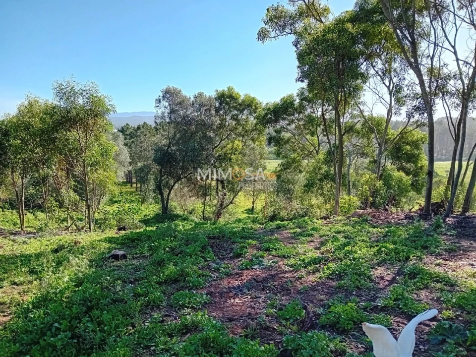 Terreno Agricola ou Rústico para Venda em Rogil Foto 8