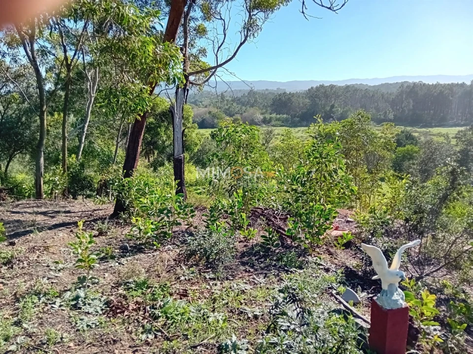 Terreno Agricola ou Rústico para Venda em Rogil Foto 12