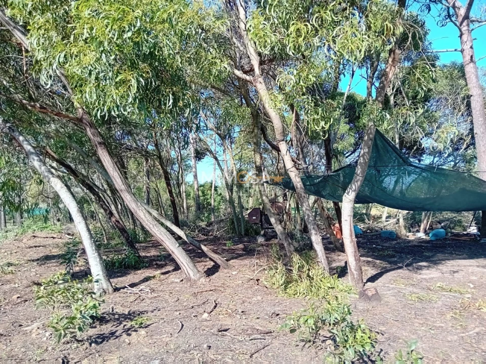 Terreno Agricola ou Rústico para Venda em Rogil Foto 13