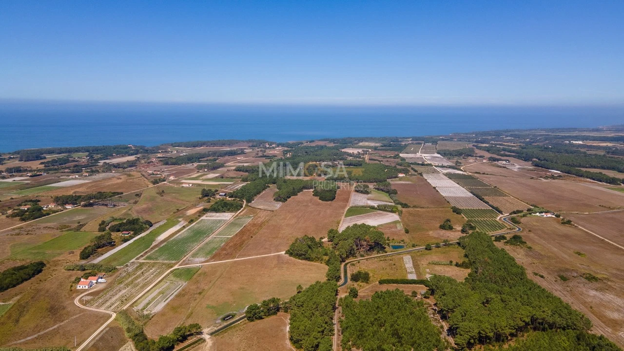 Terreno Agricola ou Rústico para Venda em Rogil Foto 18