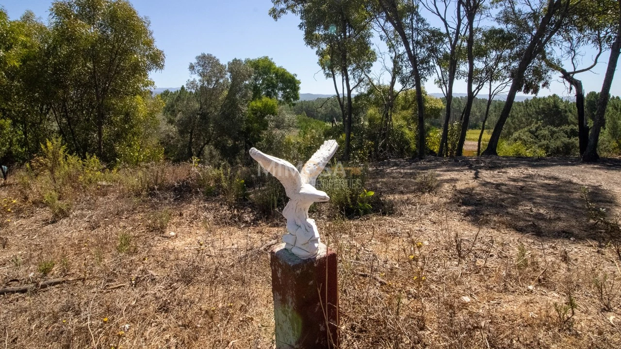 Terreno Agricola ou Rústico para Venda em Rogil Foto 23