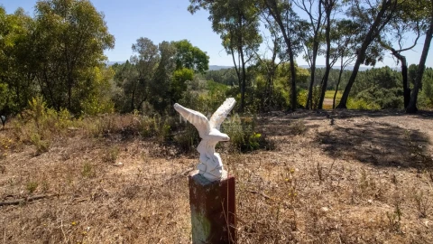 Terreno Agricola ou Rústico para Venda em Rogil