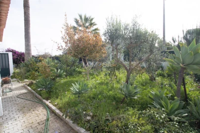 Moradia T3 para Venda em Alvor