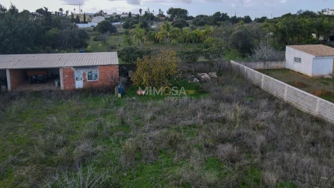 Terreno para Venda em Luz