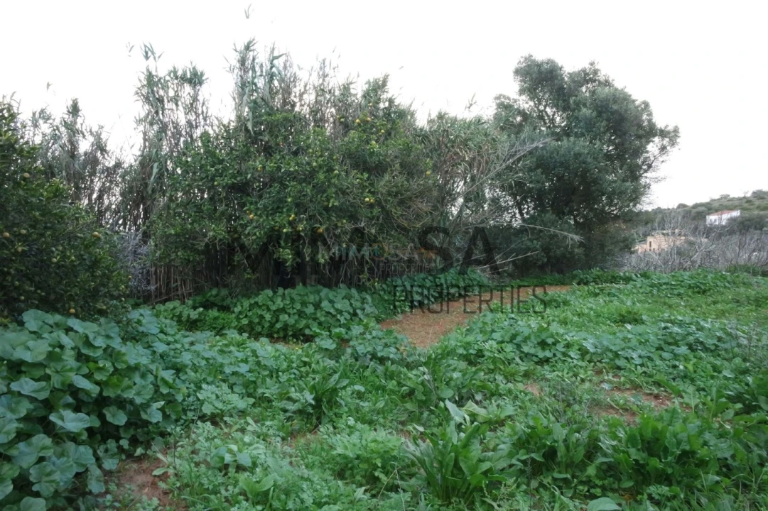 Moradia T6 para Venda em Lagos (São Sebastião e Santa Maria) Foto 39