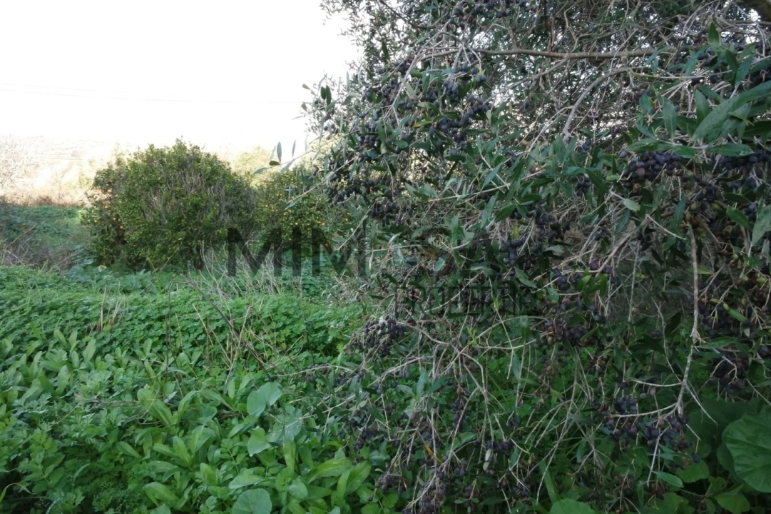 Moradia T6 para Venda em Lagos (São Sebastião e Santa Maria) Foto 50