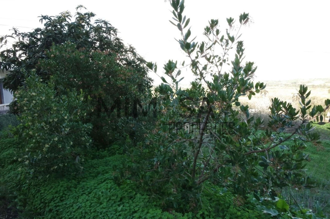 Moradia T6 para Venda em Lagos (São Sebastião e Santa Maria) Foto 51
