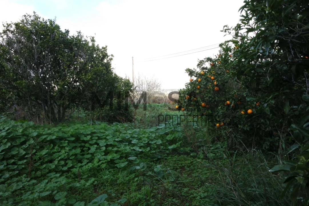 Moradia T6 para Venda em Lagos (São Sebastião e Santa Maria) Foto 53