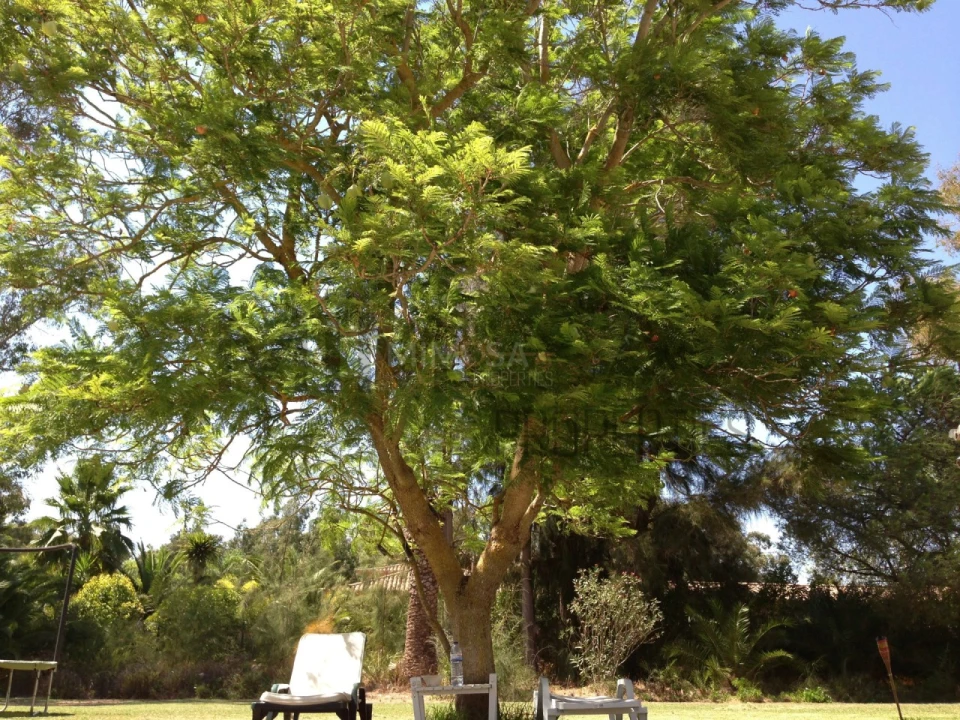 Moradia T5 para Venda em Alvor Foto 17