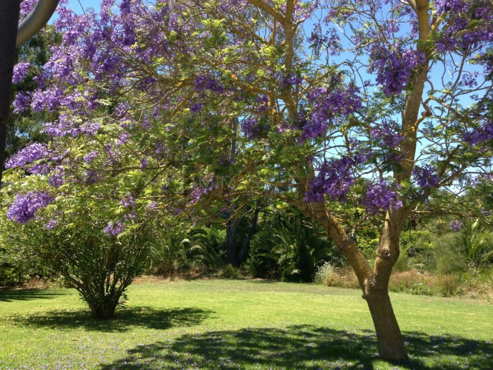 Moradia T5 para Venda em Alvor Foto 18
