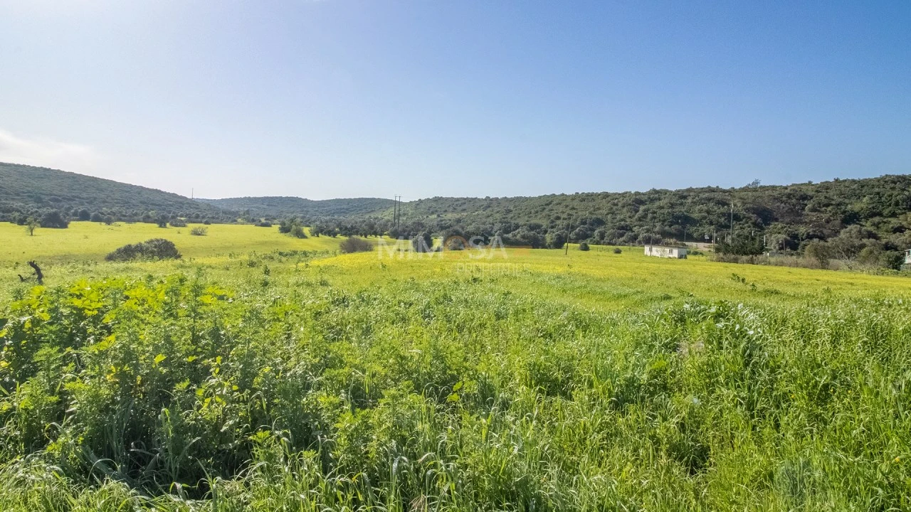 Terreno Misto para Venda em Bensafrim e Barão de São João Foto 6