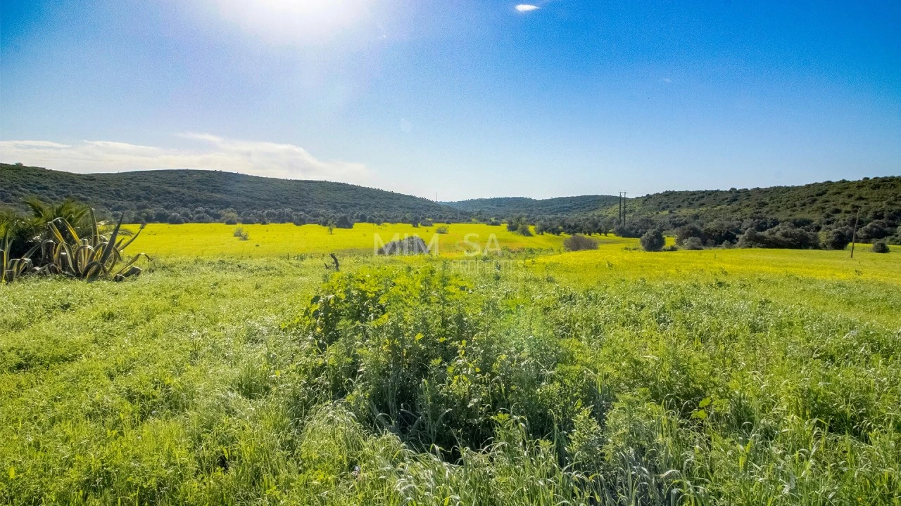 Terreno Misto para Venda em Bensafrim e Barão de São João Foto 19