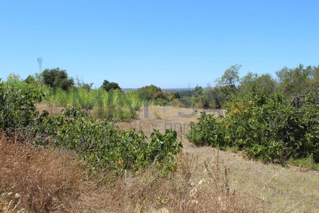 Terreno para Venda em Portimão Foto 4
