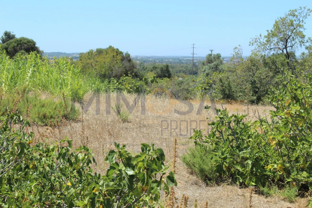 Terreno para Venda em Portimão Foto 5