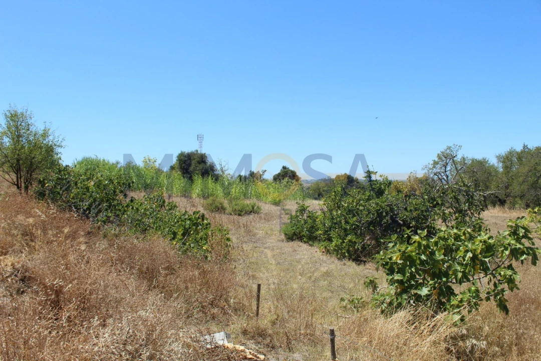 Terreno para Venda em Portimão Foto 8