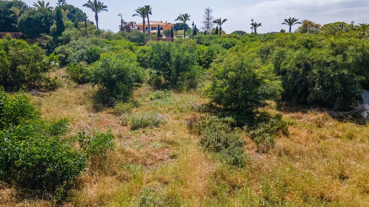 Terreno para Venda em Lagos (São Sebastião e Santa Maria) Foto 12