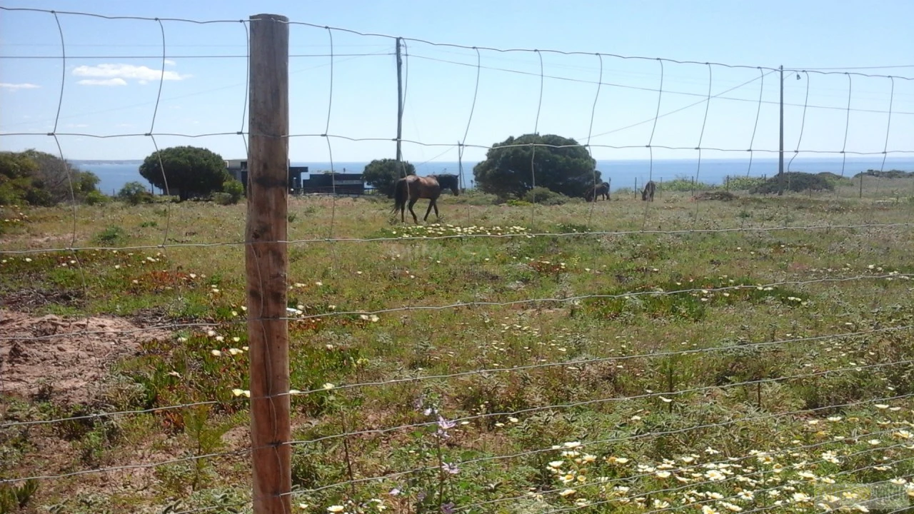 Terreno para Venda em Lagos (São Sebastião e Santa Maria) Foto 10