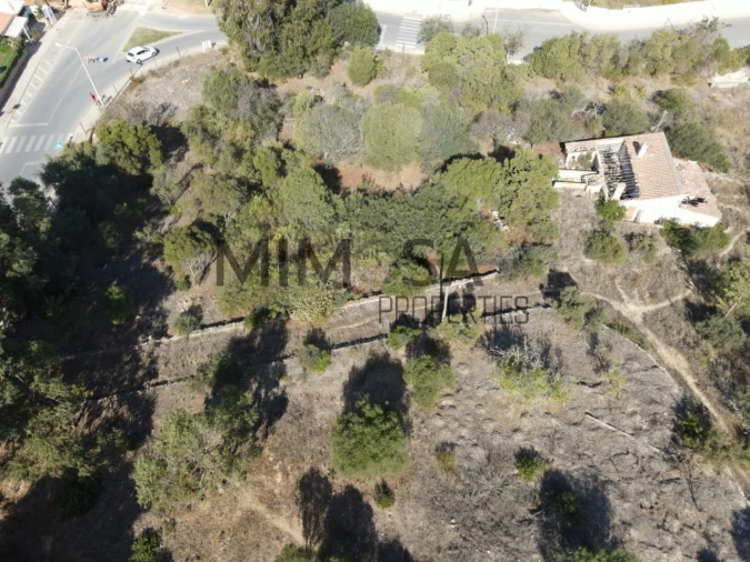 Terreno para Venda em Lagos (São Sebastião e Santa Maria) Foto 17