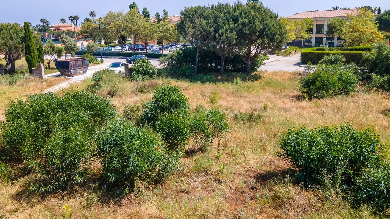 Terreno para Venda em Lagos (São Sebastião e Santa Maria) Foto 10