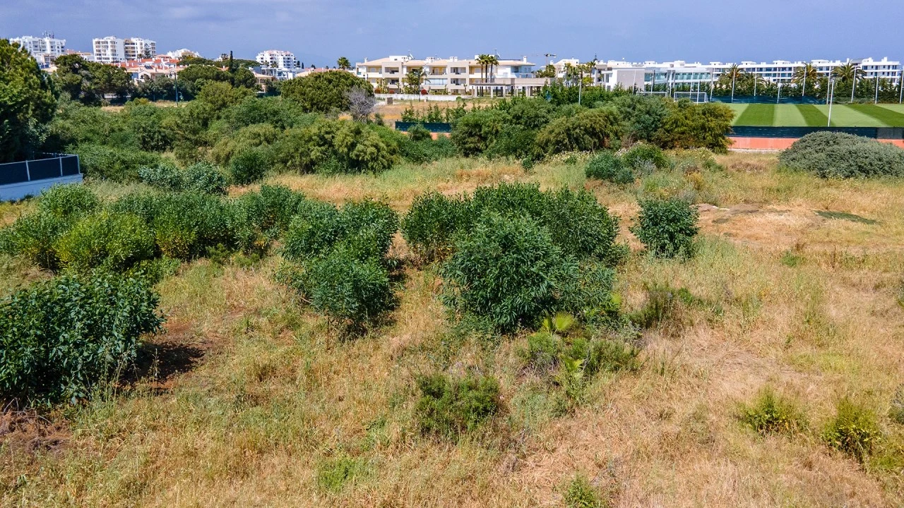 Terreno para Venda em Lagos (São Sebastião e Santa Maria) Foto 13