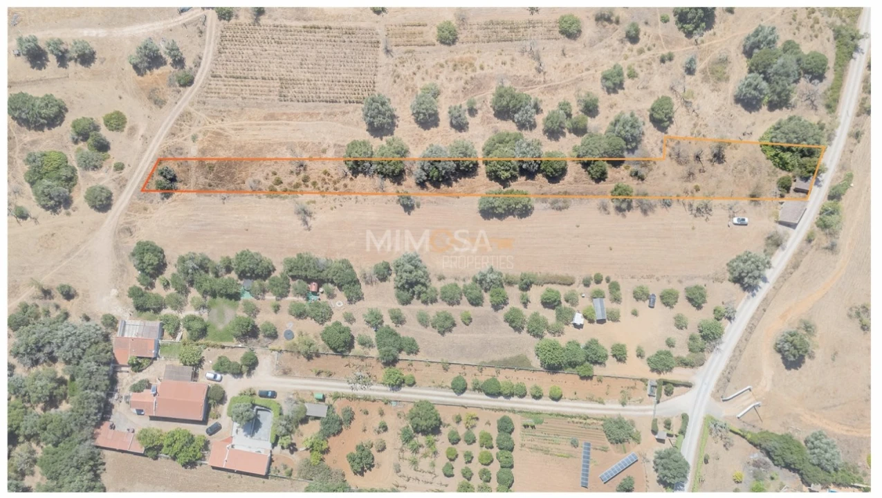 Terreno para Venda em Barão de São Miguel Foto 13