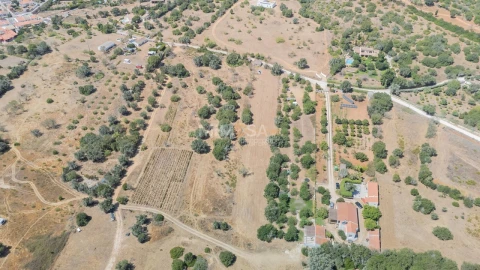 Terreno para Venda em Barão de São Miguel