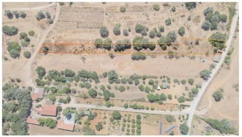 Terreno para Venda em Barão de São Miguel