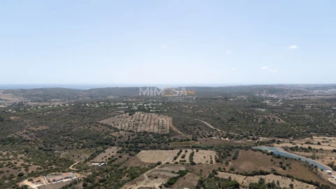 Terreno para Venda em Barão de São Miguel
