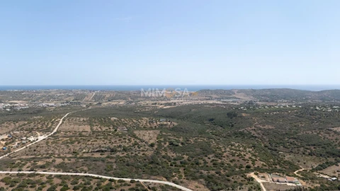 Terreno para Venda em Barão de São Miguel