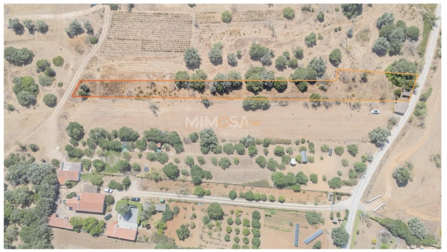 Terreno para Venda em Barão de São Miguel Foto 13