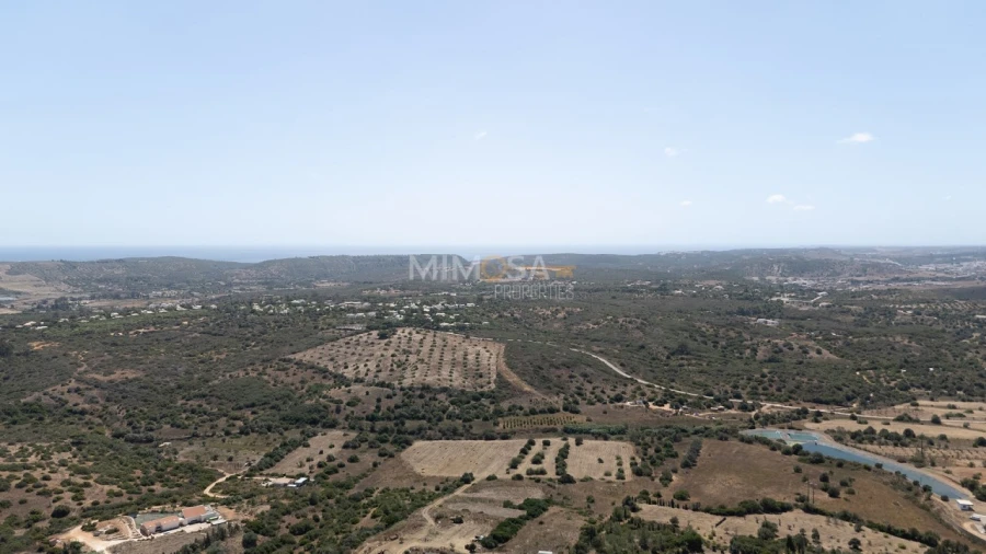 Terreno para Venda em Barão de São Miguel Foto 18