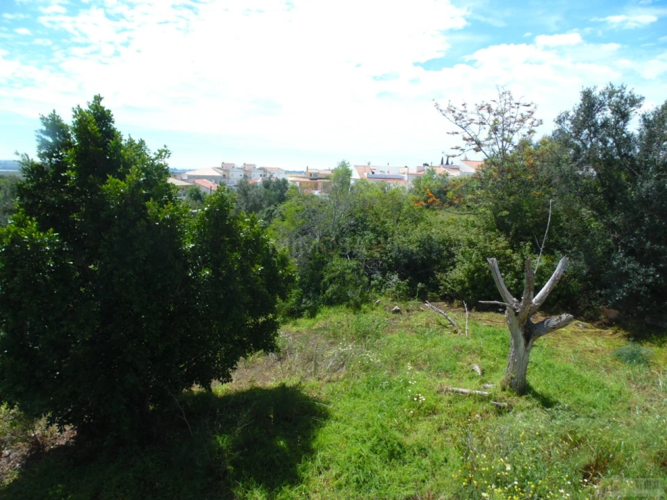 Terreno para Venda em Mexilhoeira Grande Foto 10