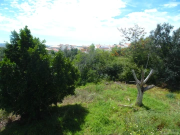 Terreno para Venda em Mexilhoeira Grande